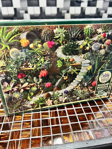 1000 Pieces Puzzle Succulent Garden