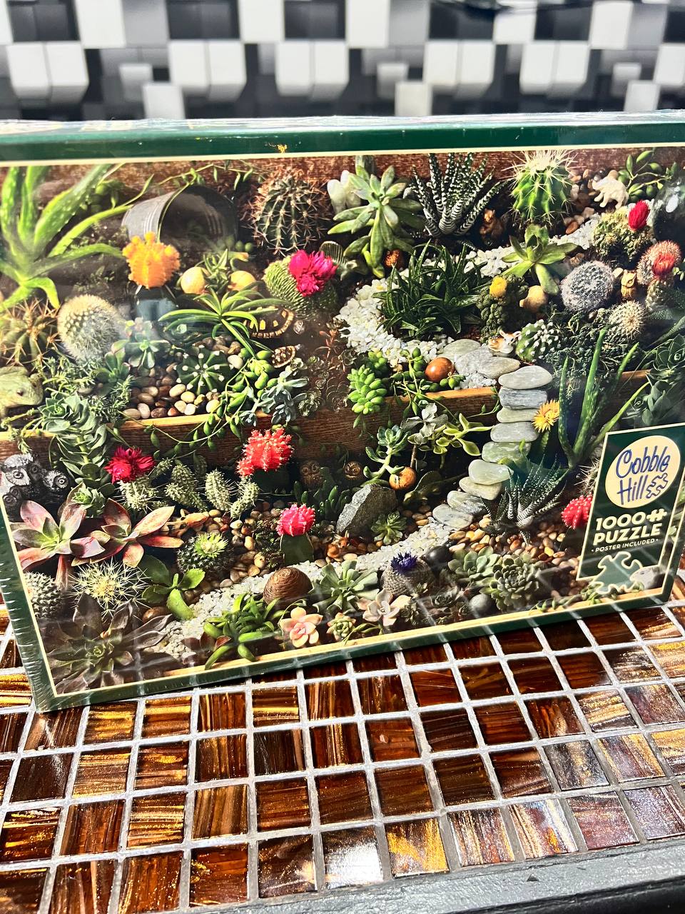 1000 Pieces Puzzle Succulent Garden